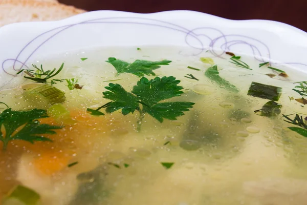 Sopa de fideos de pollo — Foto de Stock