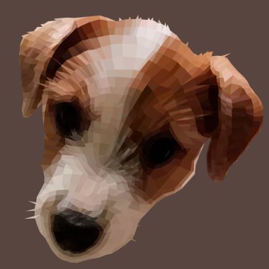 Jack Russell Terrier 'ın komik bir portresi. Çokgen tarzında üremiş. Neşeli bir Jack Russell Terrier köpeğinin başı. Bir evcil hayvan tasviri. Yaramaz, iyi bir arkadaş. Sarkık kulaklar, parlak gözler ve ıslak bir burun.