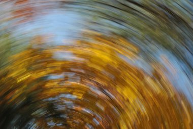 girdap sonbahar yaprakları