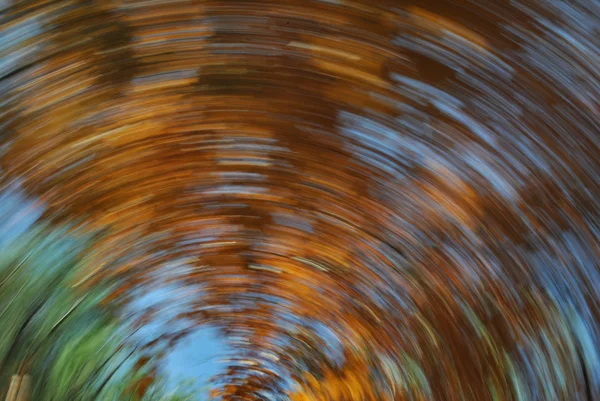 Herfstbladeren swirl — Stockfoto