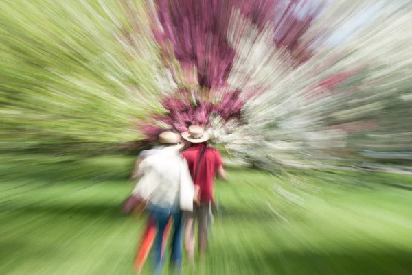 Våren yrsel. Stockbild