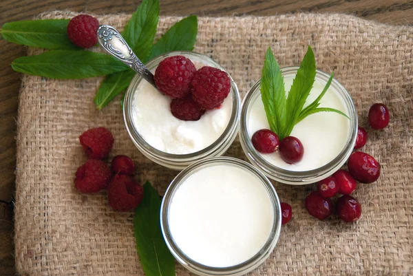 Yogourt maison frais à la menthe et aux baies. Focus sélectif . — Photo