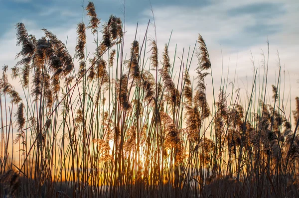 günbatımı güneş