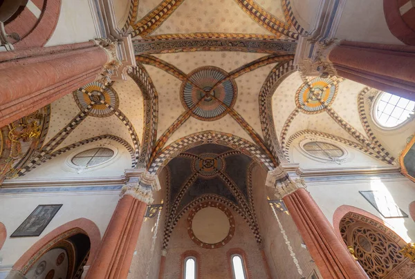 Arches Architecture Roof San Francesco Assisi Cathedral Pavia — Stock Photo, Image