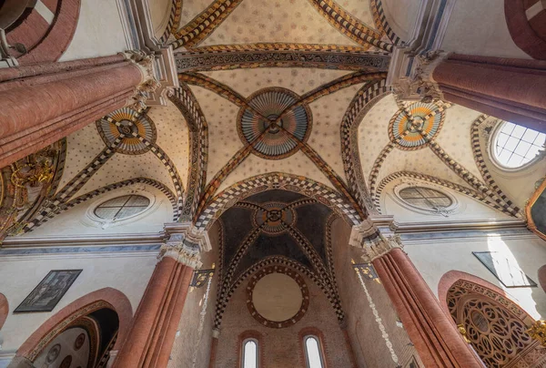 Bågar Och Arkitektur Taket San Francesco Assisi Katedralen Pavia — Stockfoto