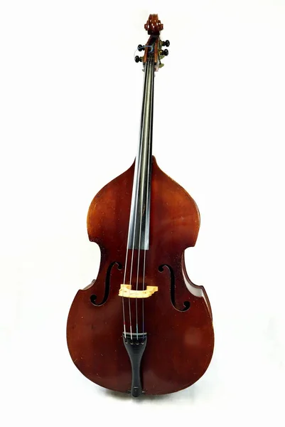 Old German Double Bass White Background — Stock Photo, Image