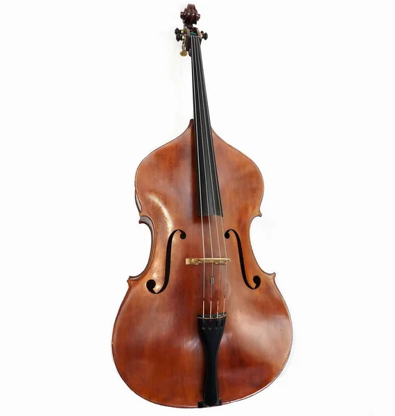 The double bass made in Italy, great liutery.