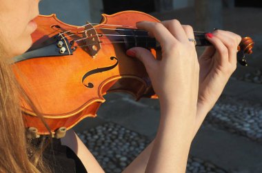 İlkbaharda bağda keman kapanıyor