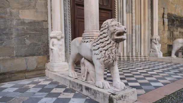 Puerta Los Leones Blancos Porta Dei Leoni Bianchi Basílica Santa — Vídeos de Stock