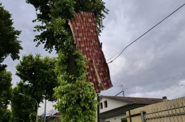 Bergamo 'da fırtına, büyük hasar, devrilmiş ağaçlar, çatılar açıldı ve sel baskını