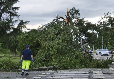 Bergamo 'da fırtına, büyük hasar, devrilmiş ağaçlar, çatılar açıldı ve sel baskını