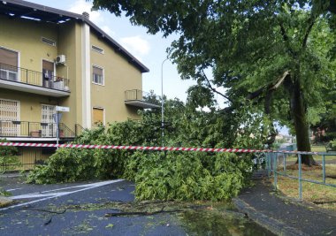 Bergamo 'da fırtına, büyük hasar, devrilmiş ağaçlar, çatılar açıldı ve sel baskını