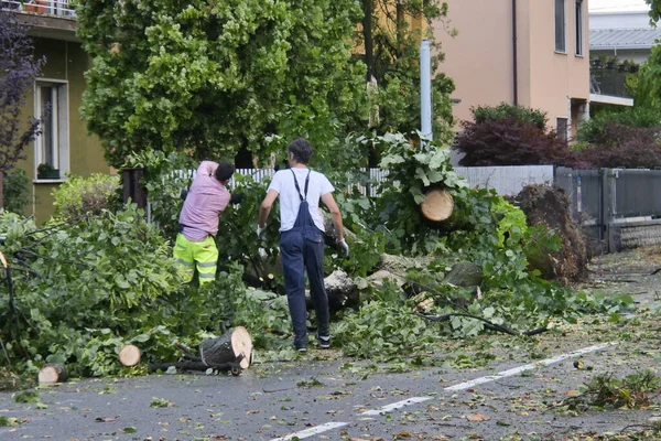 Bergamo 'da fırtına, büyük hasar, devrilmiş ağaçlar, çatılar açıldı ve sel baskını