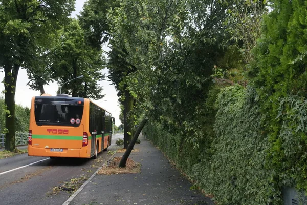 Sturm Der Provinz Bergamo Umfangreiche Schäden Umgestürzte Bäume Abgedeckte Dächer — Stockfoto