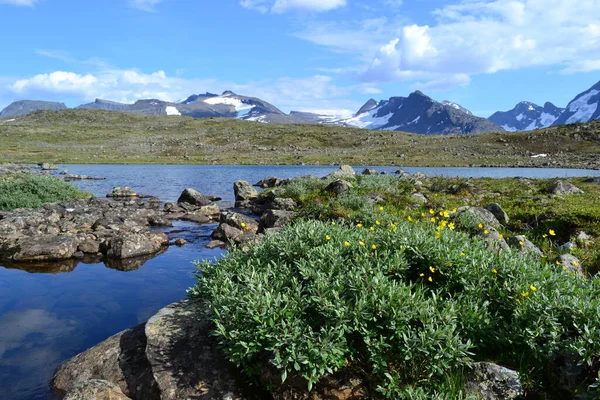 Natuur Van Scandinavische Bergen — Stockfoto