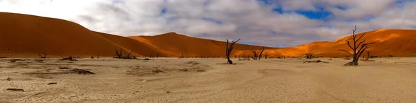 Namibia Wüste ausgetrockneter See lizenzfreie Stockbilder