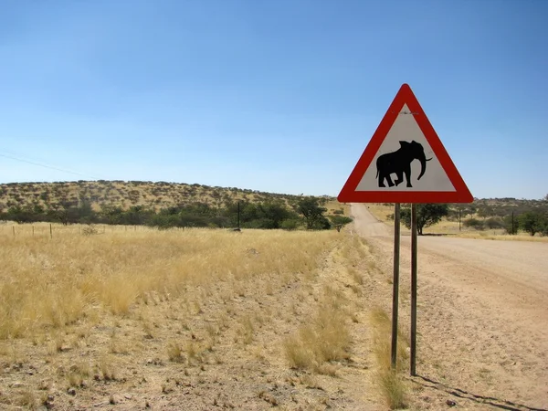 Namibia verkehrszeichen elphant — Stockfoto