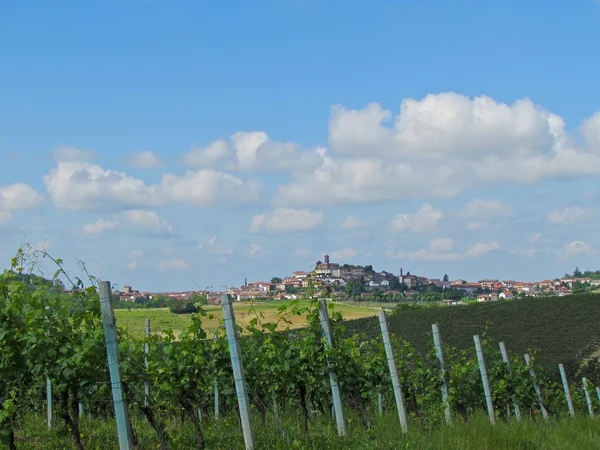 Kebun anggur dan pemandangan kota dari bukit — Stok Foto