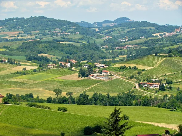 Vineyard, town and hills view — стоковое фото