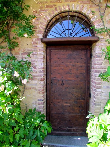 Porta de madeira velha com pregos de ferro — Fotografia de Stock