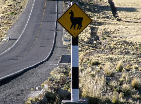 Peru-Straßenschild-Lama — Stockfoto