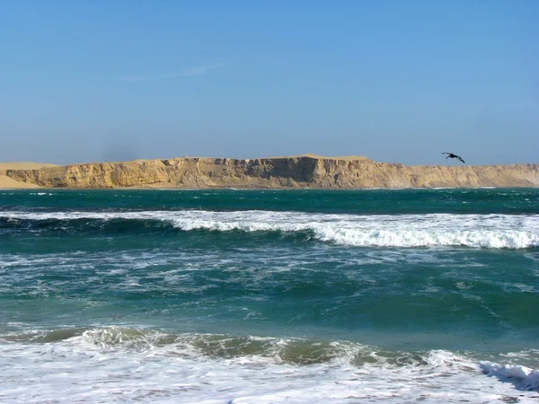 Peru kayalıklarla ve okyanus Paracas — Stok fotoğraf