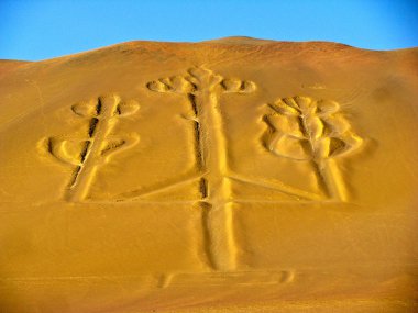 Mumluk, Paracas Yarımadası, Peru