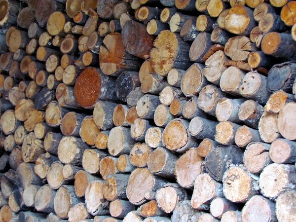 Παλιό ξύλο woodpile καφέ — Φωτογραφία Αρχείου