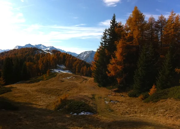 Jesień w górach panorama drzew — Zdjęcie stockowe