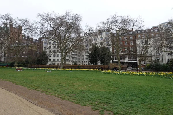 Paisagem Parques Londres Inglaterra — Fotografia de Stock