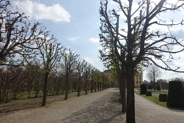 Pałac Schonbrunn Wiedeń Austria — Zdjęcie stockowe