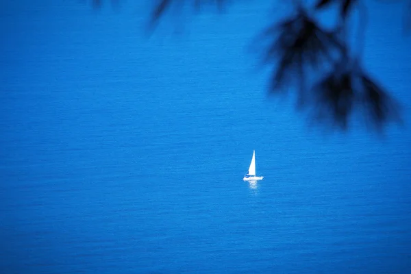 Yalnız beyaz yelken