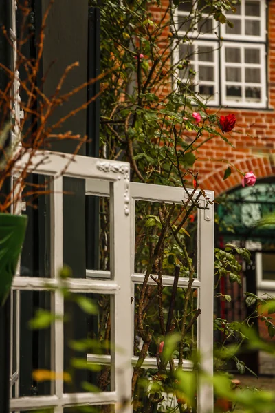 Open a window to the garden Royalty Free Stock Photos