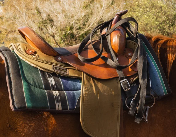 Saddle on a horse's back — Stock Photo, Image