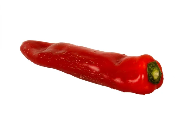 Червоний солодкий довгий перець на білому тлі — стокове фото