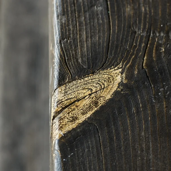 Mote alanında büyük bir kaçış