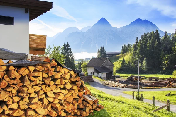 Avusturyalı köyün Dağı'nın eteklerinde sakin bir köşe