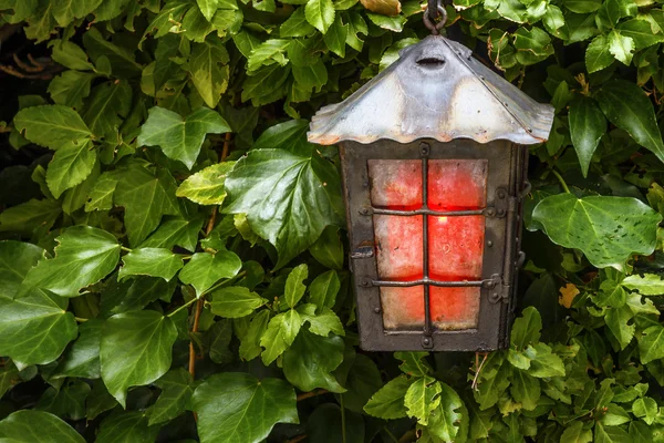 Oturan kırmızı fener Bahçe