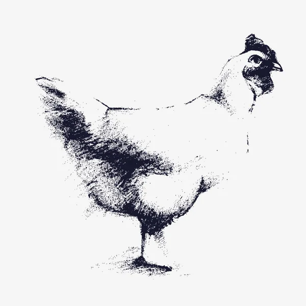 Wektor węgiel kurczaka — Wektor stockowy