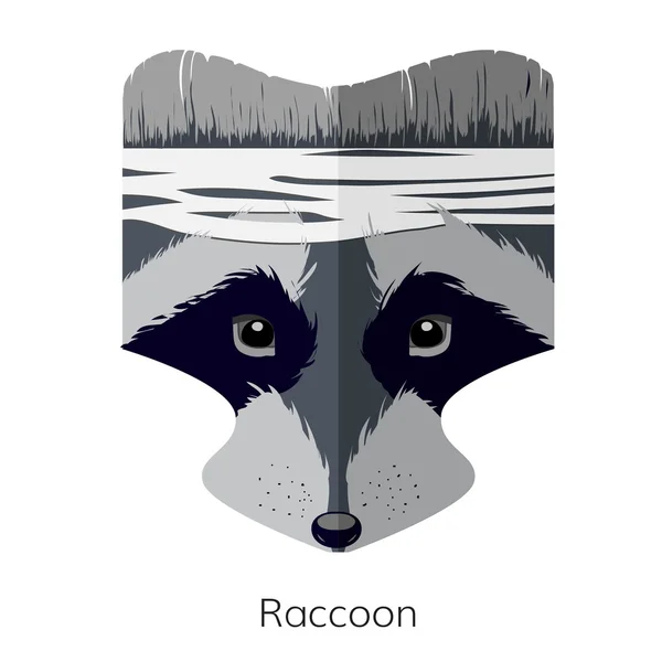 Mapache icono plano — Vector de stock