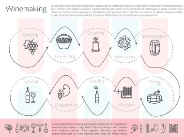 şarap yapımı Infographic satır