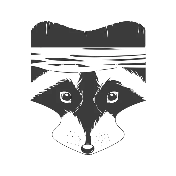 Cabeza de mapache blanco y negro — Vector de stock