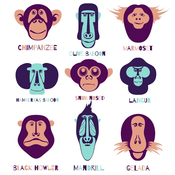 Set di caratteri scimmia — Vettoriale Stock