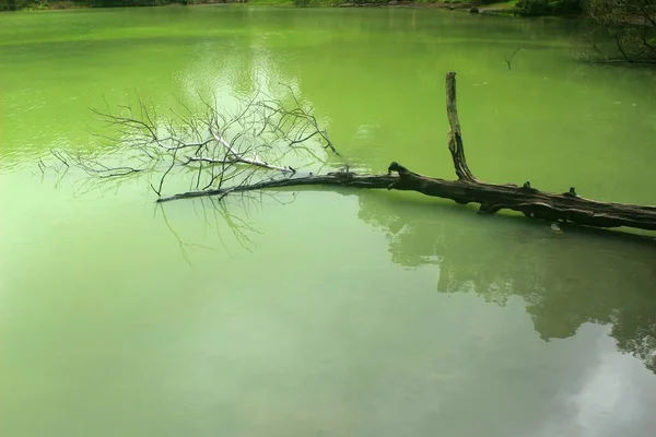 Smukke Naturlige Natur Telaga Warna Turistobjekt Dieng Indonesien - Stock-foto