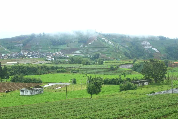 Piękny Krajobraz Dieng Indonezji — Zdjęcie stockowe