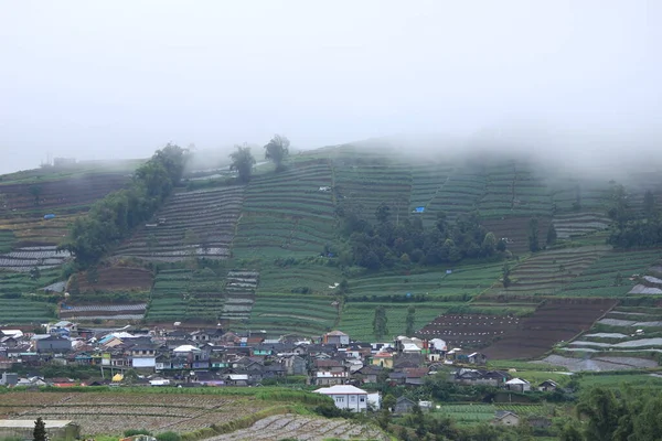 Foto Dieng Plateau Paisagem Natural Amanhecer Manhã — Fotografia de Stock