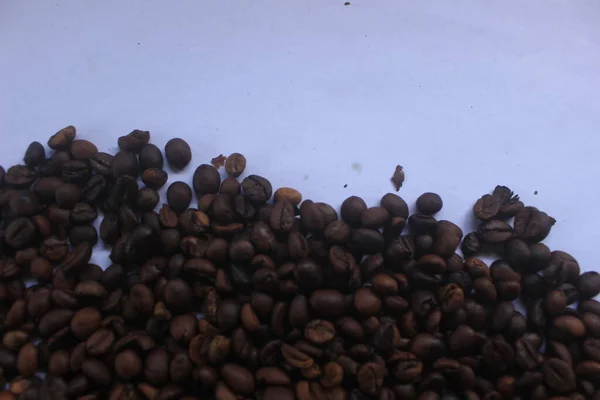 This photo is a photo of Robusta coffee bean typical of Pekalongan, Central Java, Indonesia.
