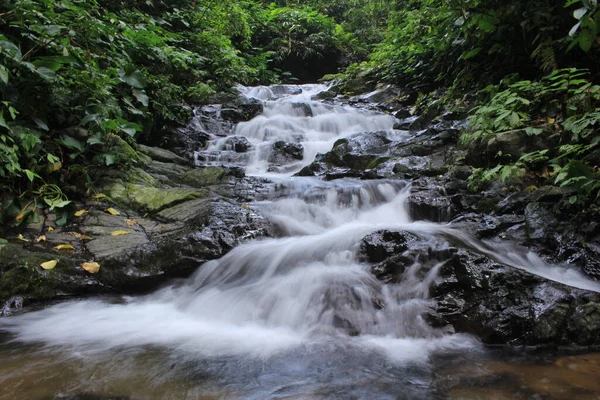 Fels Und Bachwasser Tropischen Wald — Stockfoto