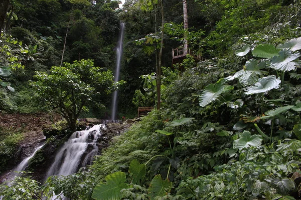 Tropischer Wald Mit Schönem Wasserfall — Stockfoto