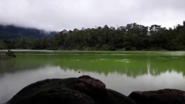 美しい自然景観 テラガ ヴァルナ湖観光オブジェクトIn Dieng Indonesia — ストック動画
